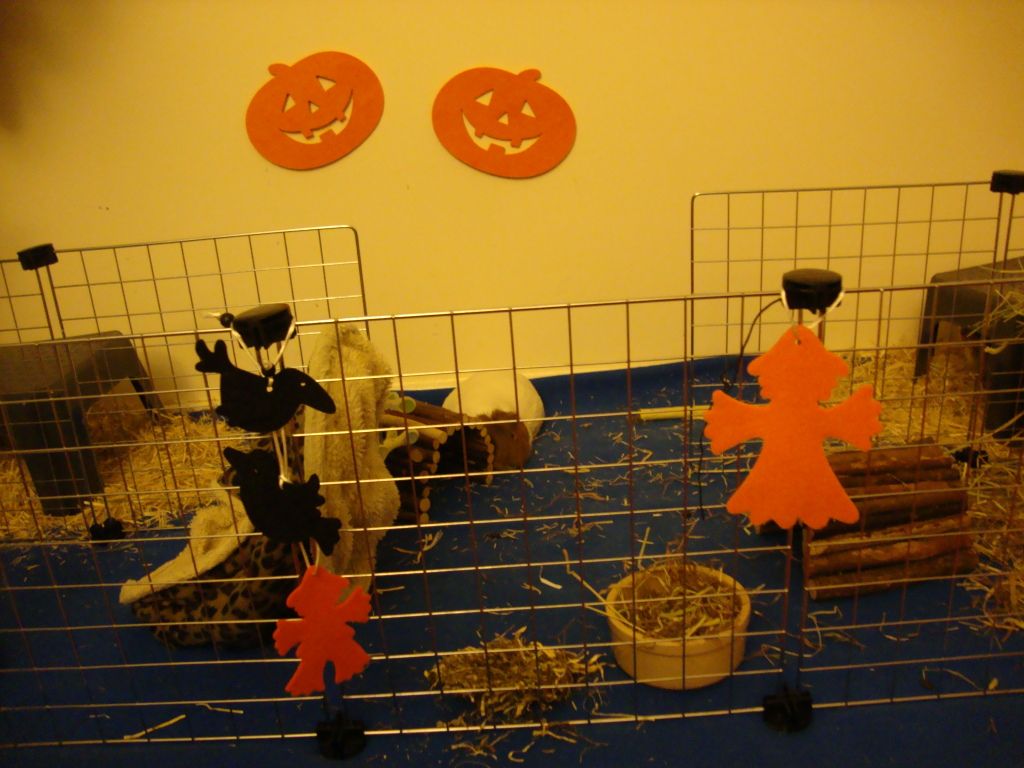 Halloween2012003.jpg