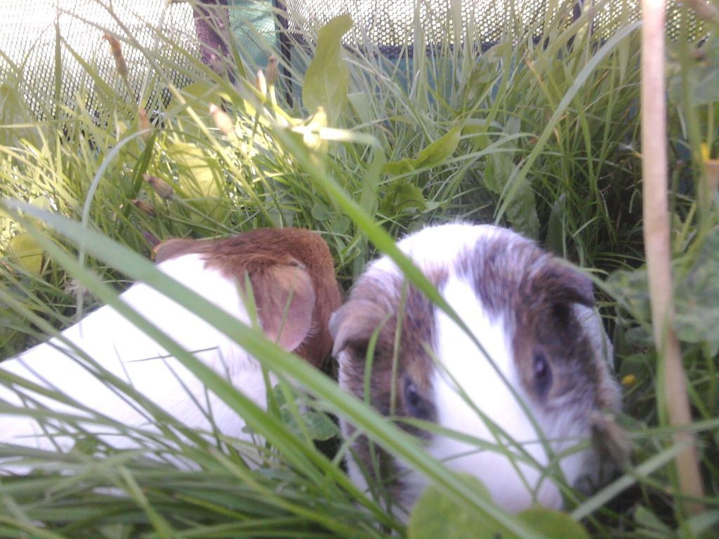 Photo0430.jpg