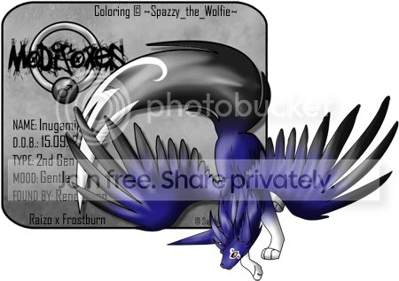 User Image